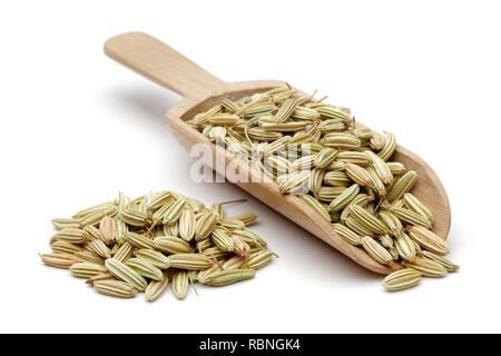 Trocknen Fenchel Samen und Holzlöffel auf weißem Hintergrund Stockfoto