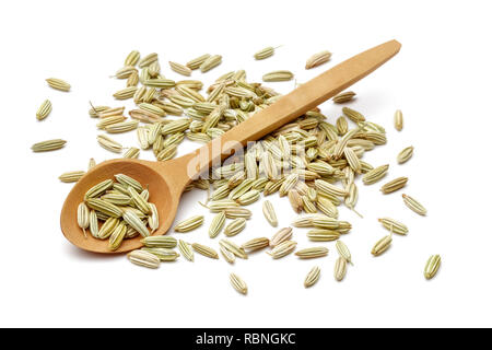 Trocknen Fenchel Samen und Holzlöffel auf weißem Hintergrund Stockfoto