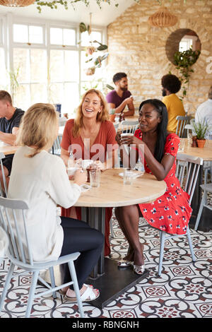 Drei weibliche Freunde reden über Brunch in einem Cafe, vertikal Stockfoto