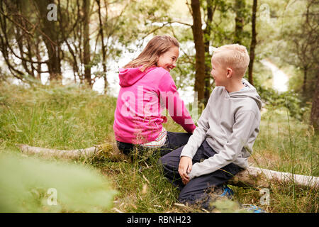Bruder und Schwester sitzen zusammen auf einen umgestürzten Baum in einem Wald, selektive Ansicht Stockfoto