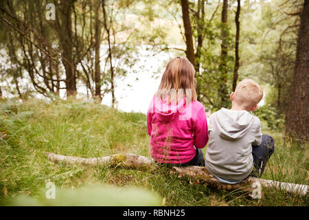 Mädchen und Jungen sitzen zusammen auf einen umgestürzten Baum in einem Wald, Rückansicht Stockfoto