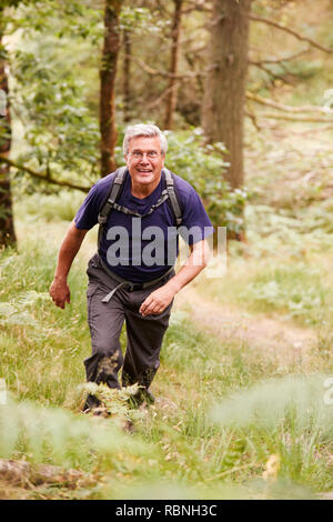 Im mittleren Alter Mann mit einem Rucksack wandern in einem Wald bei Camera suchen, erhöhten Vorderansicht, volle Länge Stockfoto