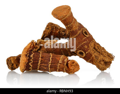 Trockene Galgant Wurzel auf weißem Hintergrund Stockfoto