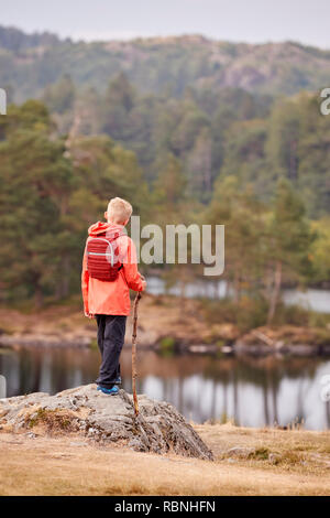Ein Junge steht auf einem Felsen mit Blick auf See, Blick nach hinten, Lake District, Großbritannien Stockfoto