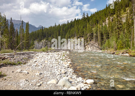 Fluss, der durch bewaldete Tal zwischen Bergen in Alaska Stockfoto