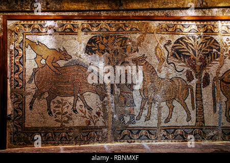 Mosaik aus Ferkya Kirche, in der Al-Zawiyah Berge. Museum Khan Murat Basha. Maarat al Nouman. Syrien, Naher Osten Stockfoto