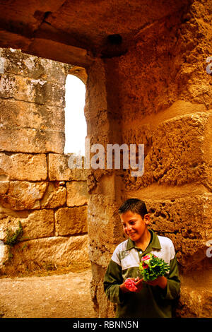 Baptister von Saint Simeon Zitadelle. Qa'laat Samaan. Syrien, Naher Osten Stockfoto