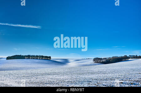 Die Berkshire Downs aus der Höhenweg in der Nähe von Wantage genommen an einem Wintertag mit den Feldern, die im Schnee mit einem klaren blauen Himmel, England, UK abgedeckt Stockfoto