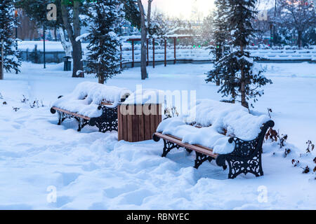 Bänke, bedeckt mit Schnee im Park im Winter Stockfoto