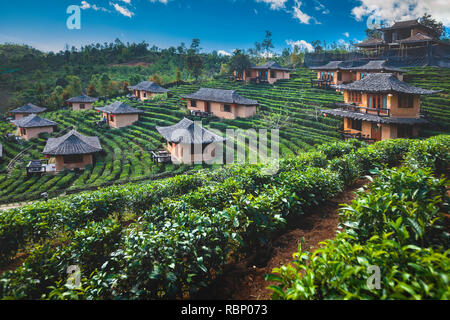 Landschaft'Ban Rak Thai' Mae Hong Son Provinz, Thailand Stockfoto