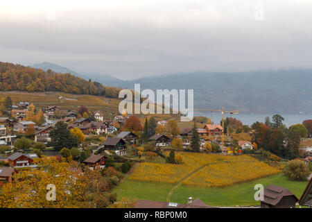 Spiez Stadtblick am Ufer des Thunersees in der Region Berner Oberland des Schweizer Kantons Bern, Schweiz Stockfoto