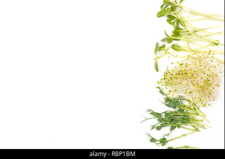 Pea Sprossen, gekeimt Alfalfa Samen und gekeimte Sonnenblumen auf weißem Hintergrund. Gesunde Ernährung, frischen Bio-Produkten. Horizontale Ausrichtung. Stockfoto