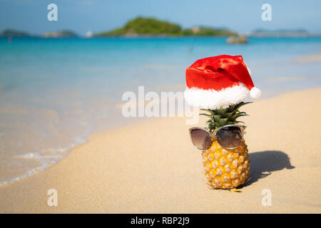 Freunde von Ananas in Sonnenbrille und Mütze auf weißem Sand mit Blick auf das Meer Stockfoto