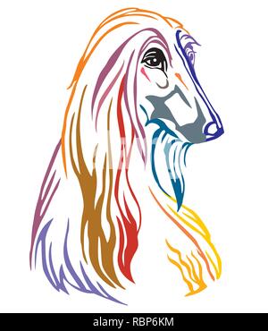 Bunt dekorativ Portrait von Hund Afghan Hound, Vector Illustration in verschiedenen Farben auf weißem Hintergrund. Bild für Design und Tattoo. Stock Vektor