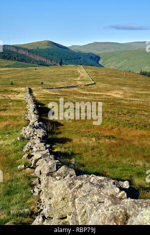 Trockenmauern Wand an Innerdownie, Ochil Hills, Perth und Kinross, Schottland. Blick nach Westen Stockfoto