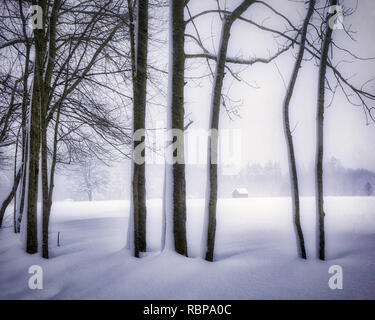 DE - Bayern: Winter in der Nähe von Bad Tölz (HDR-Bild) Stockfoto