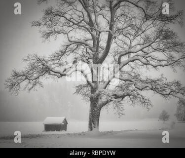 DE - Bayern: Winter in der Nähe von Bad Tölz (HDR-Bild) Stockfoto