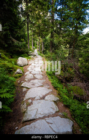 Schönen Velka Studena Dolina - in der slowakischen Hohen Tatra. Schönen Sommer Panorama - weg von Stary Smokovec über Hrebienok zu Zbojnicka Ch Stockfoto