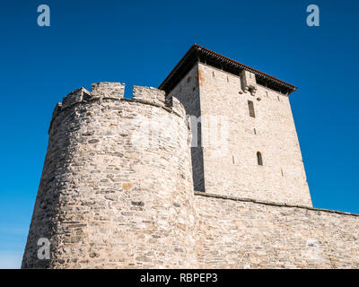 Blick auf die Burg/Mendoza Mendoza Turm in der Nähe von Vitoria-Gasteiz, Alava, Baskenland, Spanien Stockfoto