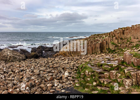 Die Giants Causeway in Nordirland ist für seine sechseckigen Basaltsäulen bekannt Stockfoto