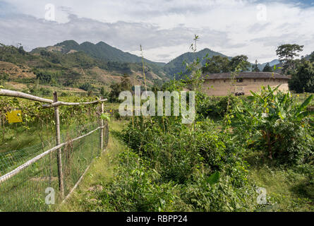 Tulou Rundschreiben Gemeinschaften unter Huaan Unesco Weltkulturerbe Stockfoto