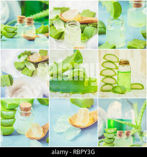 Collage Aloe Vera in einer kleinen Flasche und Stücke auf den Tisch zu extrahieren. Stockfoto