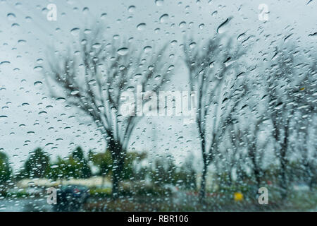 Regentropfen auf dem Fenster, unscharfen Bäume im Hintergrund; geringe Tiefenschärfe; Kalifornien Stockfoto