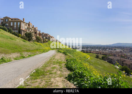 Häuser und wilden Senf an einem Frühlingstag, San Jose, Kalifornien