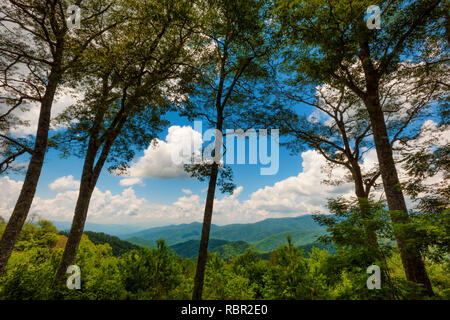 Sommer vista Blick auf die Great Smoky Mountains in der Nähe von Gatlinburg, Tennessee Stockfoto