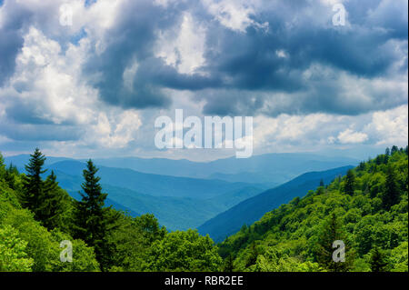 Sommer vista Blick auf die Great Smoky Mountains in der Nähe von Gatlinburg, Tennessee Stockfoto