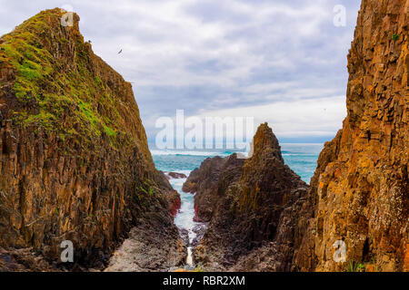 Querformat von Seal Rock Beach in Oregon gesehen Stockfoto