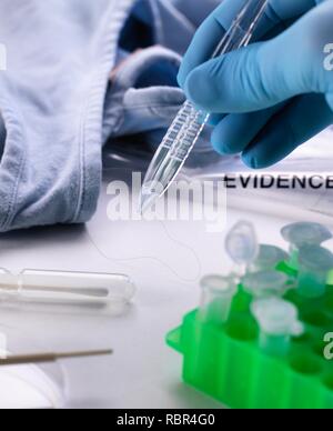 Forensische Wissenschaftler ein Haar Probe für die DNA (Desoxyribonukleinsäure) Prüfung von Kleidung von einem Tatort. Stockfoto