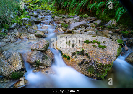 Natürliche frische, saubere Wasser fließt durch und um Granit geröllsteinen durch üppige grüne Neuseeland Bush. Stockfoto