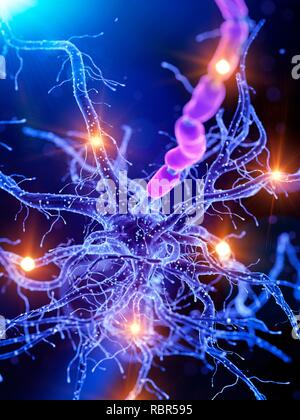 Abbildung eines aktiven menschlichen Nervenzelle. Stockfoto