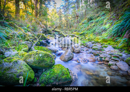Natürliche frische, saubere Wasser fließt durch und um Granit geröllsteinen durch üppige grüne Neuseeland Bush. Stockfoto