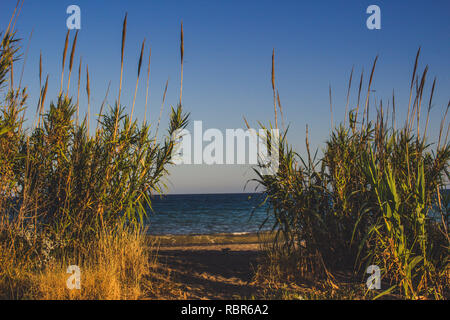 Strand. Wilden Strand und das Mittelmeer. Andalusien, Spanien. Stockfoto