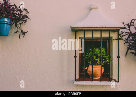 Fenster. Fenster mit einem Blumentopf auf eine weiße Wand. Mijas, Andalusien, Spanien. Stockfoto