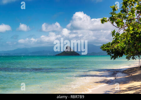 Mokoli'i Island (früher bekannt als der veraltete Begriff „Chinaman's hat“) mit Blick auf die Insel und wunderschönem türkisfarbenem Wasser am Kualoa Beach, Oahu, Hawaii Stockfoto