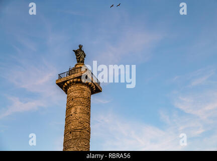 Rom, Italien, 1. JANUAR 2019: Vögel fliegen über der Spalte des Marcus Aurelius in der Mitte der Piazza Colonna Stockfoto