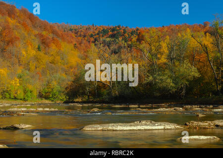 Schönen Herbst in der San-Tal. Otryt Mountain Range. Bieszczady-gebirge. Polnad. Stockfoto