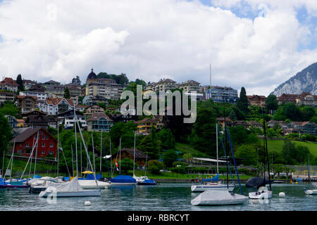 Ufer der Thuner See im Bereich des Labor Spiez Stockfoto