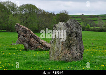 Stanton zeichnete Steinkreise. Es gibt drei Steinkreise in der Nähe des Dorfes Stanton zeichnete in Somerset. Der große Kreis, mit 113 Meter Durchmesser. Stockfoto