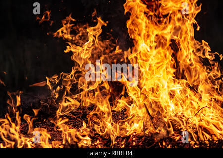 Wald wildfire bei Nacht ganze Gebiet durch Flammen und Wolken dunkler Rauch bedeckt. Verzerrte Details durch hohe Temperaturen und hohe Verdunstung Gase während Kom Stockfoto