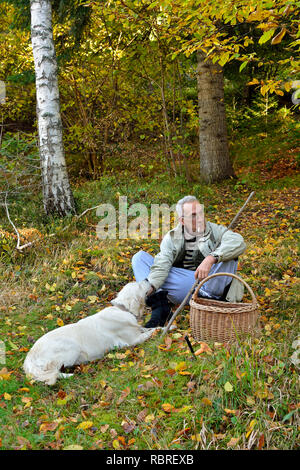 Alten, vitalen Mann und sein Golden Retriever Hund sitzen auf Gras und in Ruhe während der Pilze im Herbst Wald Stockfoto