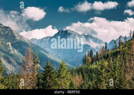 Nationalpark Tatra, Polen. Sommer Berge und Wald landschaft. Landschaftlich schöne Aussicht. Der UNESCO-Netz der Biosphärenreservate. Stockfoto