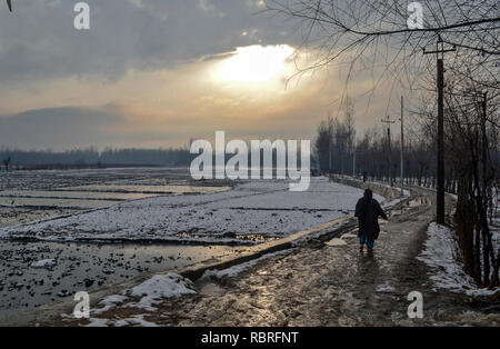 Ein Bewohner gesehen zu Fuß durch eine Straße nach frischem Schneefall am Stadtrand von Srinagar, Indien verwalteten Kaschmir. Kaschmir, einschließlich Ebenen des Tales, frische Schneefall Donnerstag abend bis Freitag morgen fortgesetzt. Das MeT Office hat zeitweise leichte Niederschläge für die nächsten 24 Stunden prognostiziert. Stockfoto