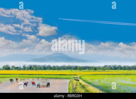 Zusammenfassung die alte Methode Bauer Praxis auf die Plantage, das Fahrrad, grüne Rohreis Feld mit schönen Himmel Wolke, Berg Thailands Fuji. Stockfoto