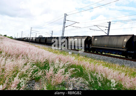 QUEENSLAND KOHLE ZUG REISEN DURCH LAND Stockfoto