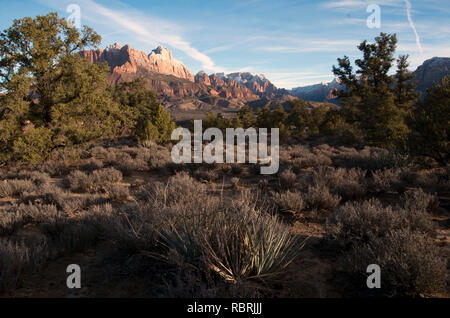 Viele Bereiche rund um Zion National Park Grenzen bieten einen herrlichen Blick auf den Park. Diese Seite ist auf der Südseite von Springdale. Stockfoto