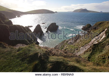 Ein Blick auf die Great Blasket Island vor der Küste von Dunquin in County Kerry, Irland Stockfoto